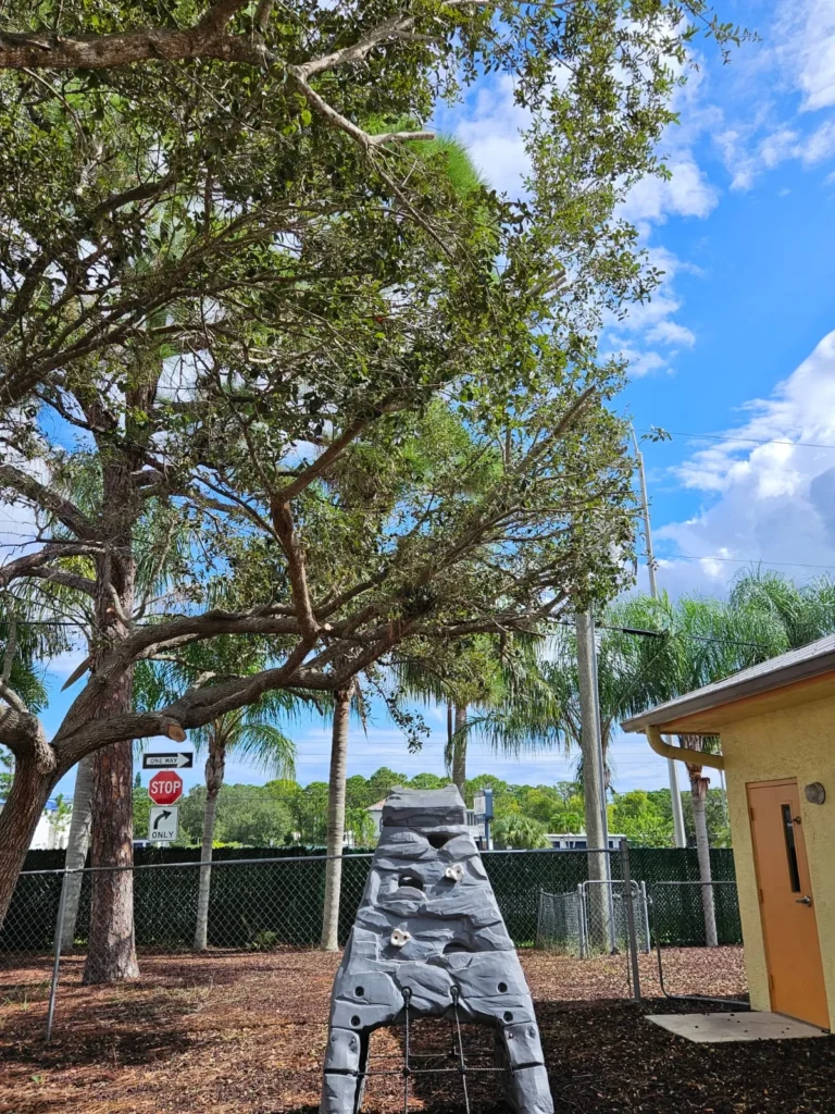 LOPEZ TREE SERVICE INC 10