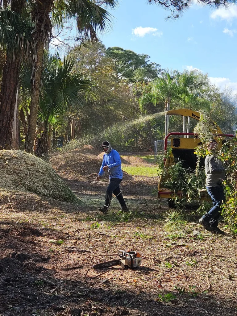 LOPEZ TREE SERVICE INC 16